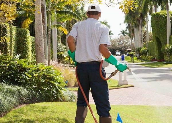 About Hackensack MN Pest Control
